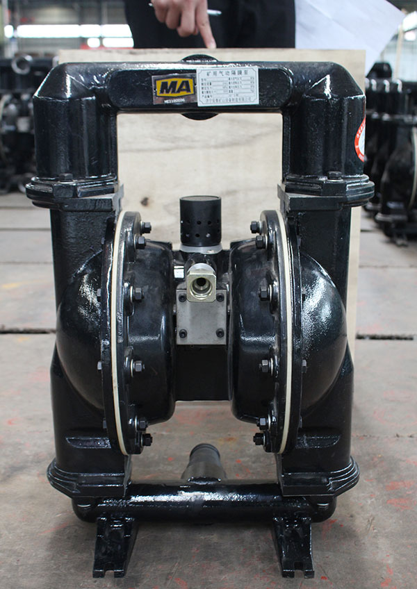 新型隔膜泵(bèng)