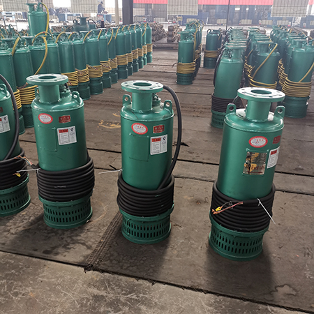 防爆潛水泵 防爆潛(qián)水泵