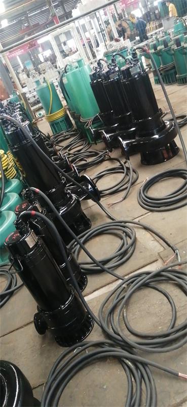 防(fáng)爆排汙泵價格(gé) 防爆排汙泵價(jià)格