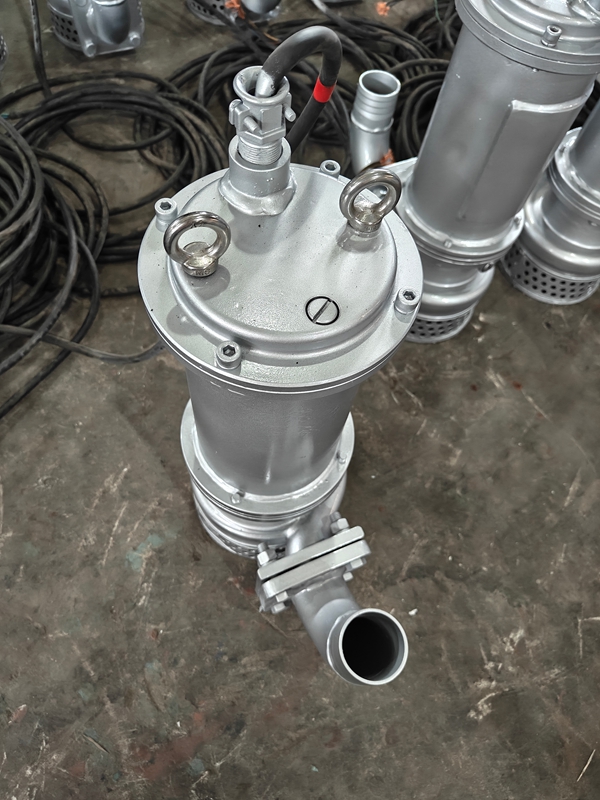 WQ小型潛水排（pái）汙泵