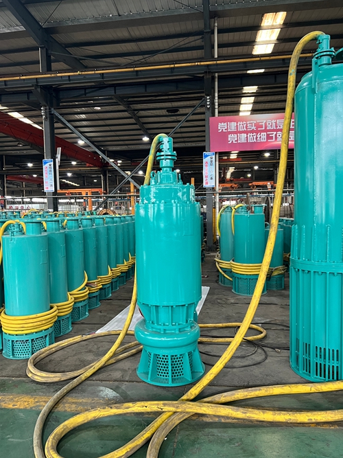 BQS55礦用（yòng）排沙泵